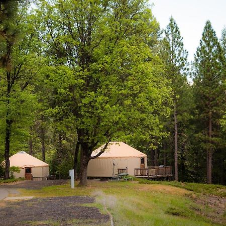 Yosemite Lakes Hillside Yurt 1 Harden Flat Bagian luar foto