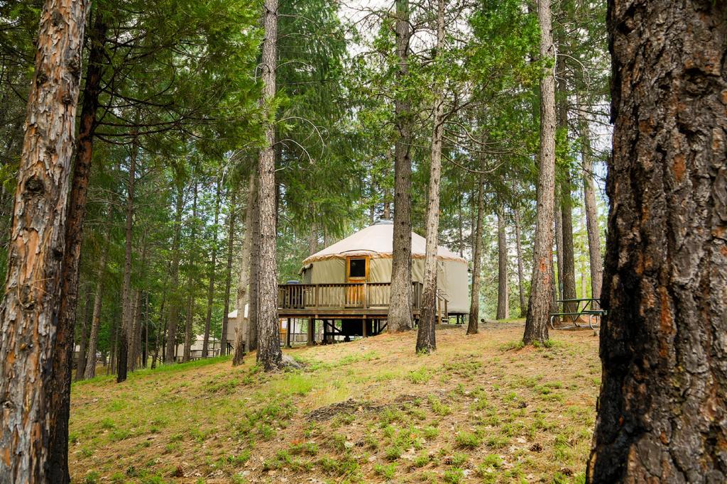 Yosemite Lakes Hillside Yurt 1 Harden Flat Bagian luar foto