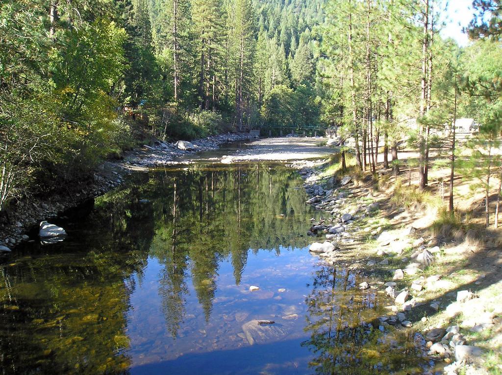 Yosemite Lakes Hillside Yurt 1 Harden Flat Bagian luar foto