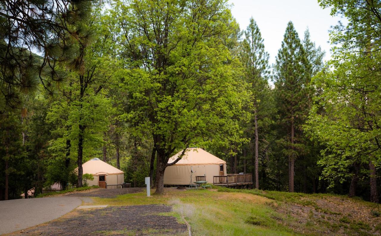 Yosemite Lakes Hillside Yurt 1 Harden Flat Bagian luar foto